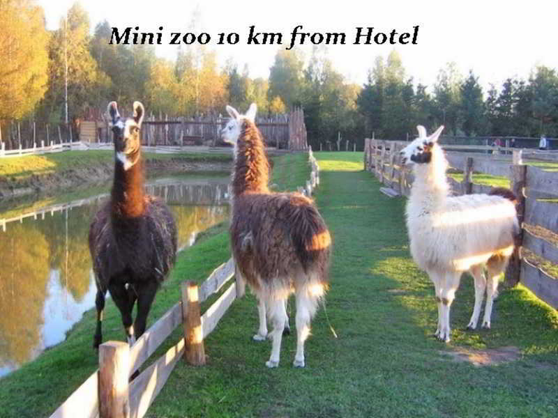 Hotel Pajurio Vieskelis クライペダ エクステリア 写真